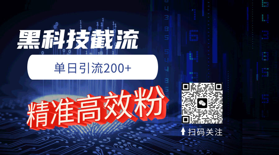 黑科技玩法 精准高效 日引200+