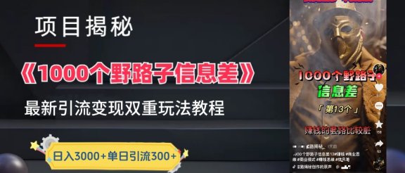 抖音最新一千个野路子玩法教程，变现+引流双重玩法，野路子信息差