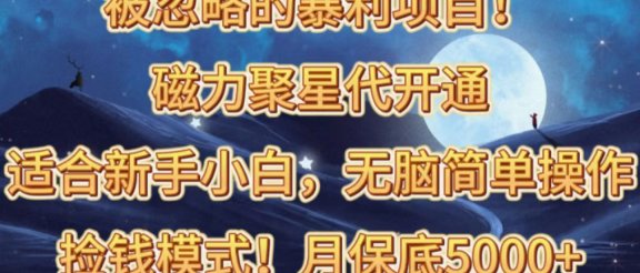 被忽略的暴利项目！磁力聚星代开通捡钱模式，轻松月入五六千
