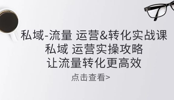 私域-流量 运营转化实操课：私域 运营实操攻略 让流量转化更高效