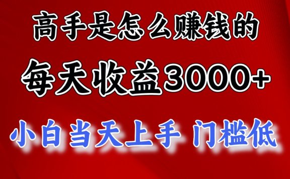 高手是怎么赚钱的,一天收益3000+ 这是穷人逆风翻盘的一个项目,非常稳