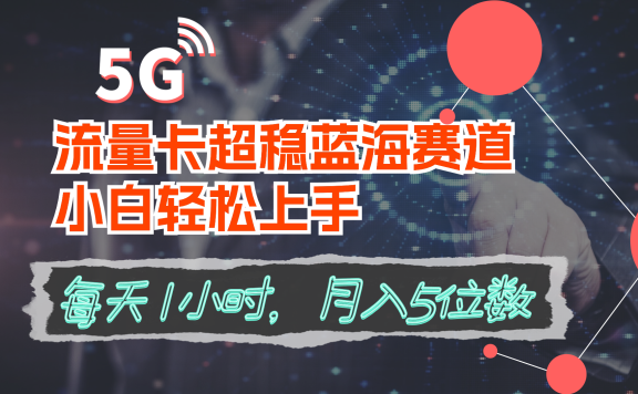流量卡超稳蓝海赛道,小白轻松上手,每天1小时,月入5位数