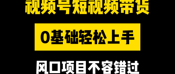 视频号短视频带货，0基础轻松上手，风口项目不容错过
