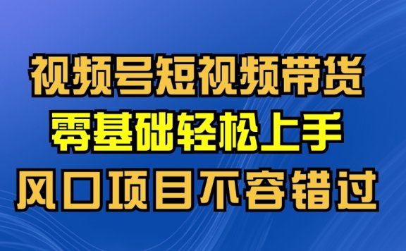 视频号短视频带货,0基础轻松上手,风口项目不容错过