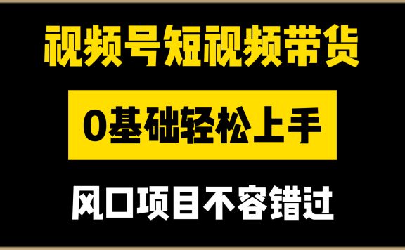 视频号短视频带货,0基础轻松上手,风口项目不容错过