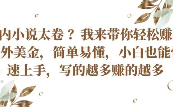 国内小说太卷 ？我来带你轻松赚取老外美金简单易懂，小白也能快速上手写的越多赚的多