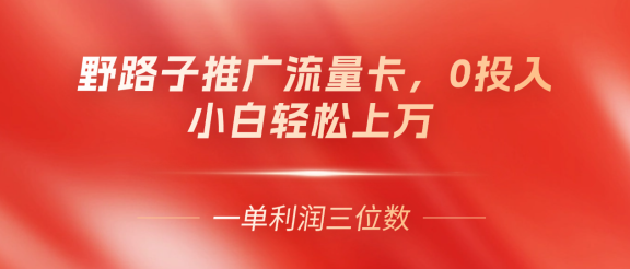 野路子推广流量卡,一单利润上百,0投入,小白月利润上万