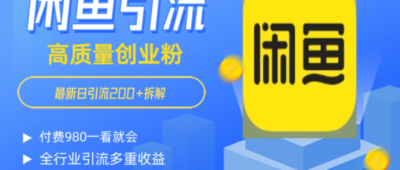 闲鱼 如何做到日引流 200+ 高 质 量 创业 粉付 费 980 拆解全 赛 道粉 丝 一看就会