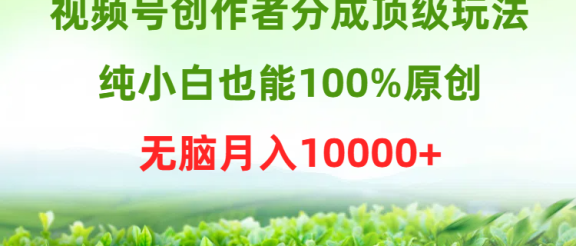视频号创作者分成顶级玩法，纯小白也能100%原创，无脑月入10000+