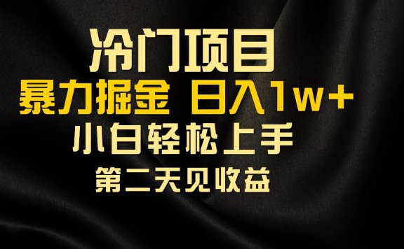 冷门项目,靠一款软件日入10000+暴力掘金小白轻松上手,第二天见收益