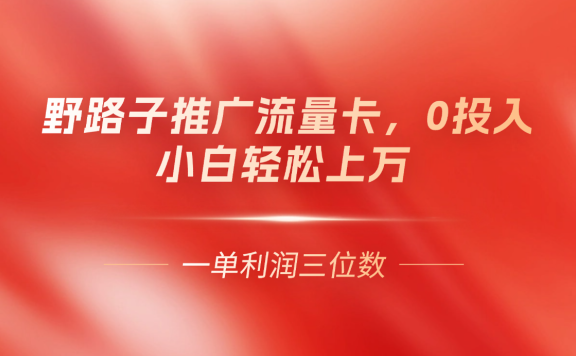 野路子推广流量卡,一单利润上百,0投入,小白月利润上万
