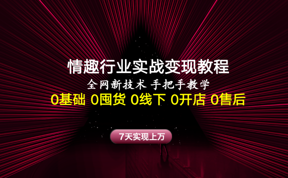 情趣行业实战变现教程，全网新技术，手把手教学，7天实现上万