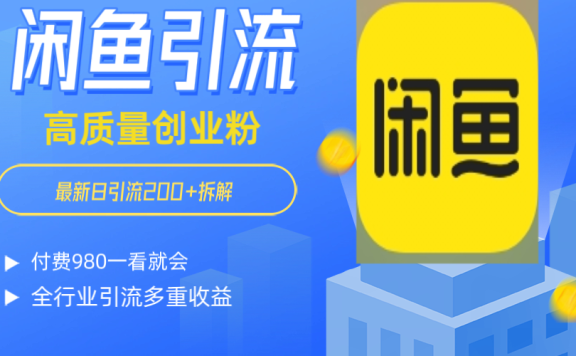 闲鱼 如何做到日引流 200+ 高 质 量 创业 粉付 费 980 拆解全 赛 道粉 丝 一看就会