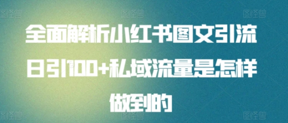 日引流100私域流量小红书图文是怎样做到的全面解析