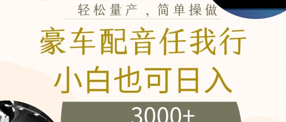 不为人知的暴力小项目，豪车配音，日入3000+