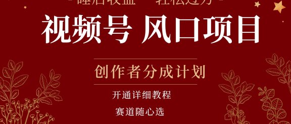 拥有睡眠收益的微信视频号大风口项目，轻松月入过万+，多赛道选择，可矩阵，玩法简单轻松上手