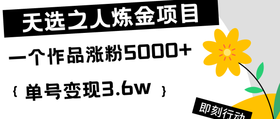 天选之人炼金项目，一个作品涨粉5000+，单号变现3.6w
