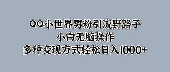 QQ小世界男粉引流野路子,小白无脑操作,多种变现方式轻松日入1000+