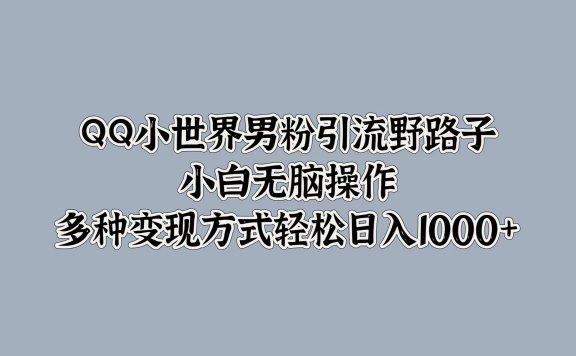 QQ小世界男粉引流野路子,小白无脑操作,多种变现方式轻松日入1000+