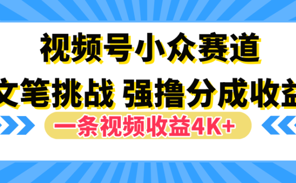 视频号小众赛道,文笔挑战,一条视频收益4K+