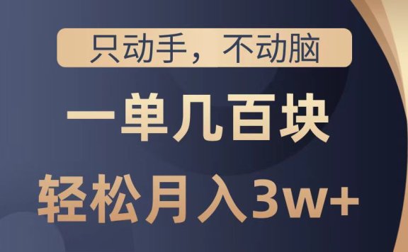 只动手不动脑，一单几百块，轻松月入2w+，看完就能直接操作，详细教程
