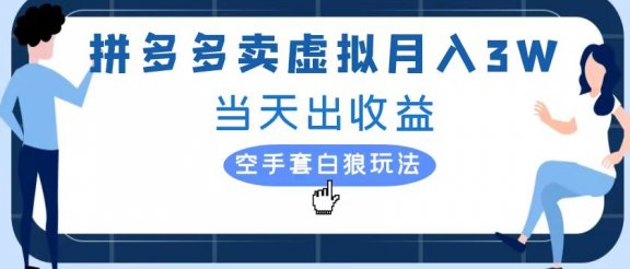 拼多多虚拟项目，单人月入3W+，实操落地项目