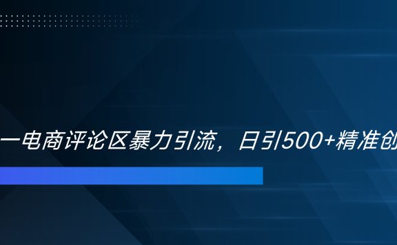 双十一电商评论区暴力引流,日引500+精准创业粉!!!