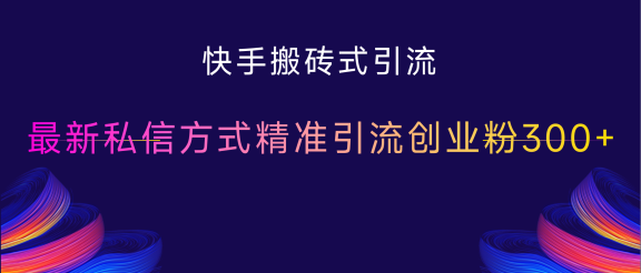快手搬砖式引流，最新私信方式精准引流创业粉300+