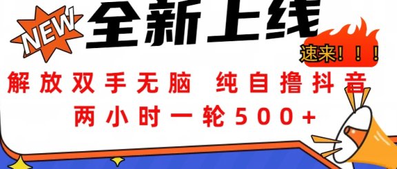 解放双手无脑 纯自撸抖音 两小时一轮500+