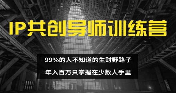 IP共创导师训练营 99%的人不知道的生财野路子 只掌握在少数人手里