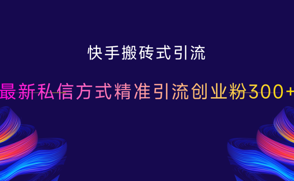 快手搬砖式引流，最新私信方式精准引流创业粉300+