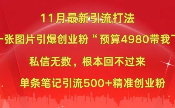 小红书11月最新图片打法,一张图片引爆创业粉“预算4980带我飞”,私信无数,根本回不过来,单条笔记引流500+精准创业粉