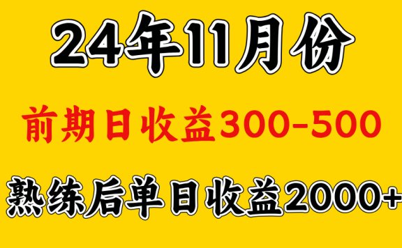 轻资产项目,前期日收益500左右,后期日收益1500-2000左右,多劳多得