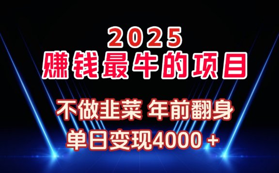 2025年赚钱最牛的项目 不做韭菜 年前翻身