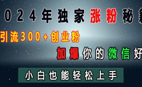 2024年独家涨粉秘籍,日引流300+创业粉,加爆你的微信好友,小白也能轻松上手