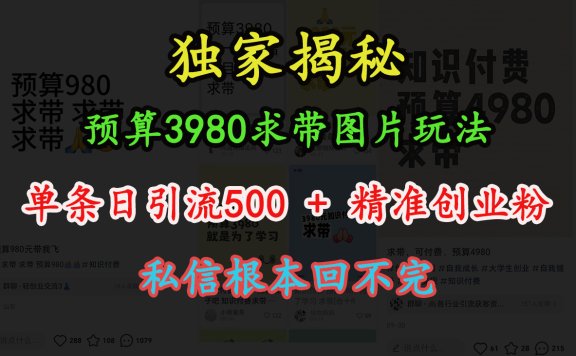 “小红书”预算3980求带 图片玩法，单条日引流500+精准创业粉，私信根本回不完