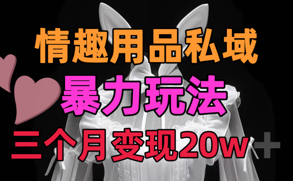 情趣用品私域,25年最新暴力玩法,三个月变现20w➕