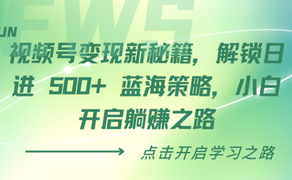 视频号变现新秘籍,解锁日进 500+ 蓝海策略,小白开启躺赚之路