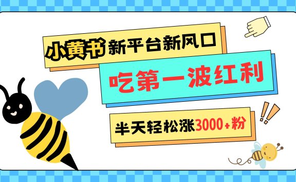 网易版小红书重磅来袭,新平台新风口,管理宽松,半天轻松涨3000粉,第一波红利等你来吃