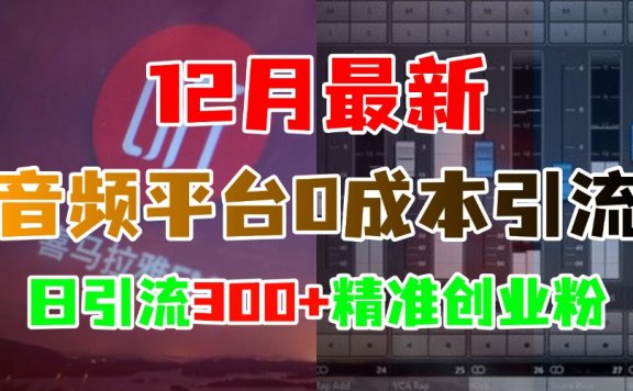 12月最新:音频平台0成本引流,日引300+精准创业粉