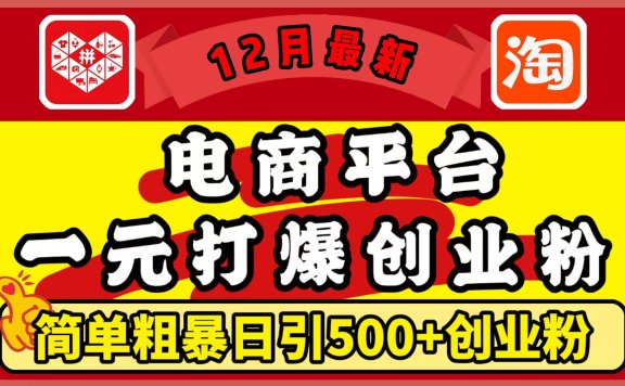 12月最新:电商平台1元打爆创业粉,简单粗暴日引500+精准创业粉,轻松月入5万+