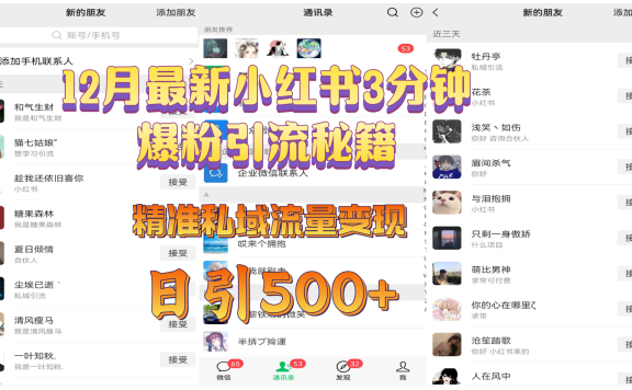 12月最新小红书3分钟爆粉引流秘籍，精准私域流量变现 日引500+