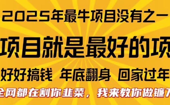 全网都在割你韭菜,我来教你做镰刀。卖项目就是最好的项目,2025年最牛互联网项目