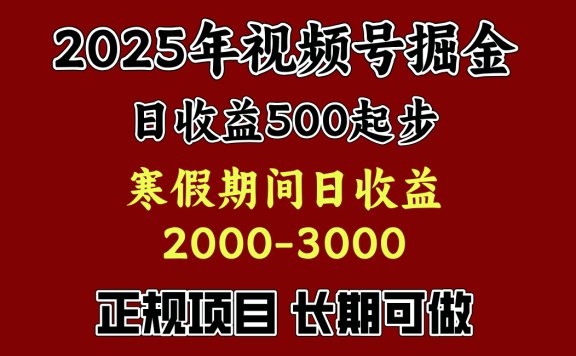 寒假期间一天收益2000+,小白一天就能上手
