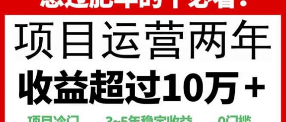 0门槛，2025快递站回收玩法：收益超过10万+，项目冷门，