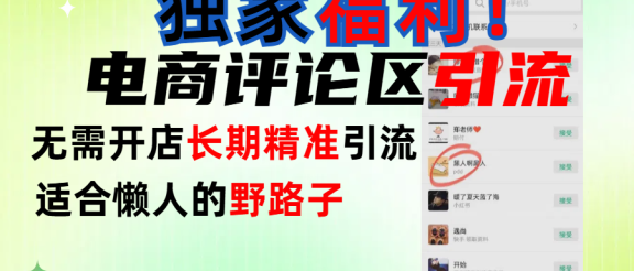 简单有效长期引流，电商评论引流法，无需开店长期精准引流，适合懒人干就完了！