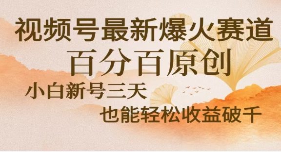 视频号独家玩法，老年养生赛道，无脑搬运爆款视频，日入2000+