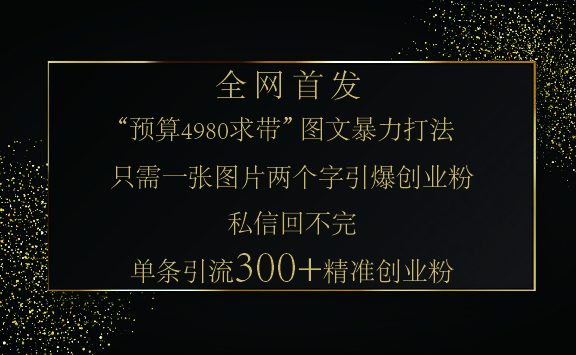 小红书，“预算 4980 带我飞” 的神奇图片引流法，堪称涨粉核武器！只需一张图，就能单条笔记凭借此方法，轻松引流 300 + 精准创业粉！