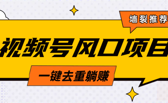 视频号风口蓝海项目，中老年人的流量密码，简单无脑，一键去重，轻松月入过万
