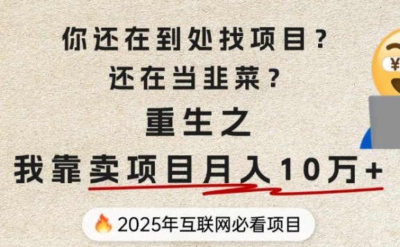 你还在到处找项目?还在当韭菜?重生之我靠卖项目月入 10 万+,曾经我也是个失败者。